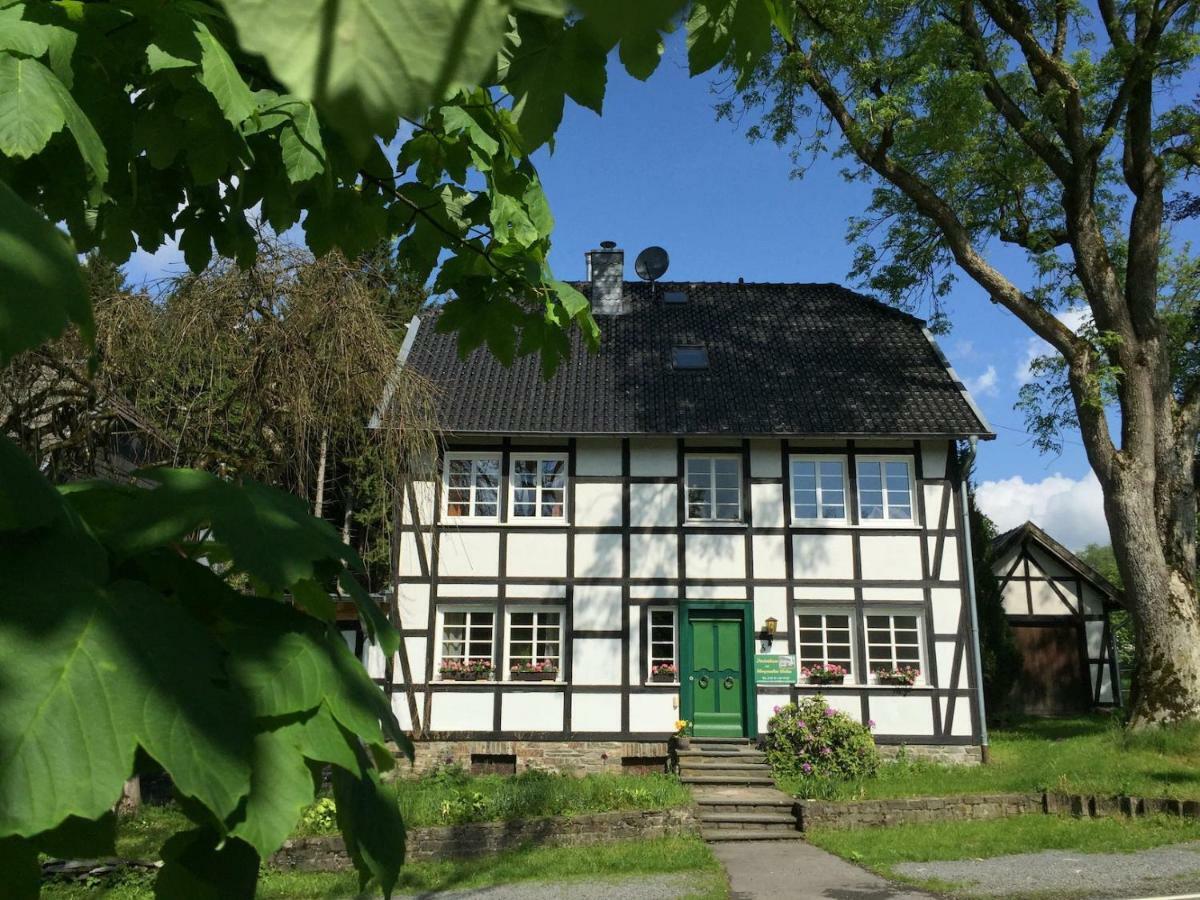 Ferienhaus Am Menzerather Weiher Моншау Екстер'єр фото